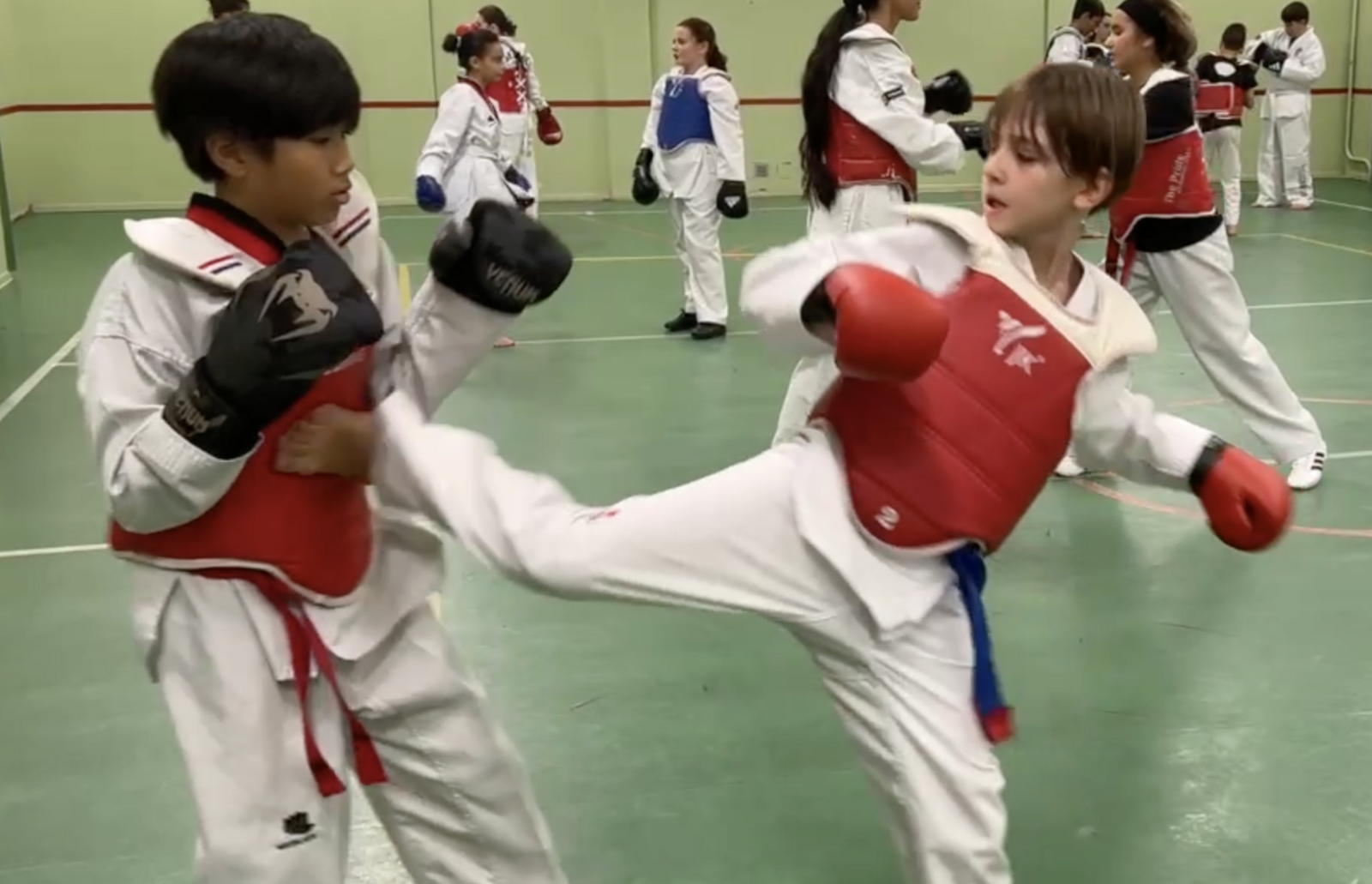 TAEKWONDO PIEDS POINGS