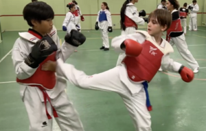 TAEKWONDO PIEDS POINGS