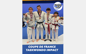 COUPE DE FRANCE TAEKWONDO IMPACT