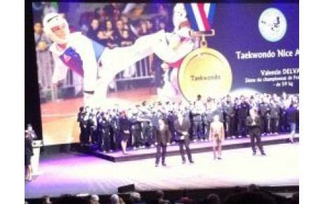 Les victoires du sport 2011