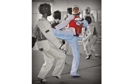 OPEN INTERNATIONAL DE TOULOUSE