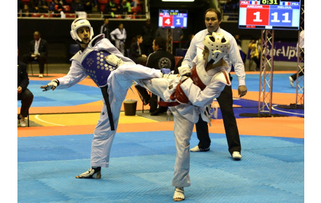 OPEN LABELLISE DE PARIS  2014