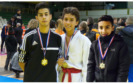 OPEN INTERNATIONAL DE TOULOUSE 2014